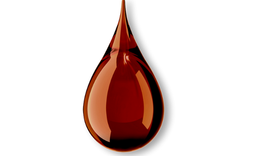 Saw Palmetto for BPH: Backed by Science, Made for Relief