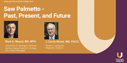 Experts in Urology Discuss the Past, Present, and Future of Saw Palmetto